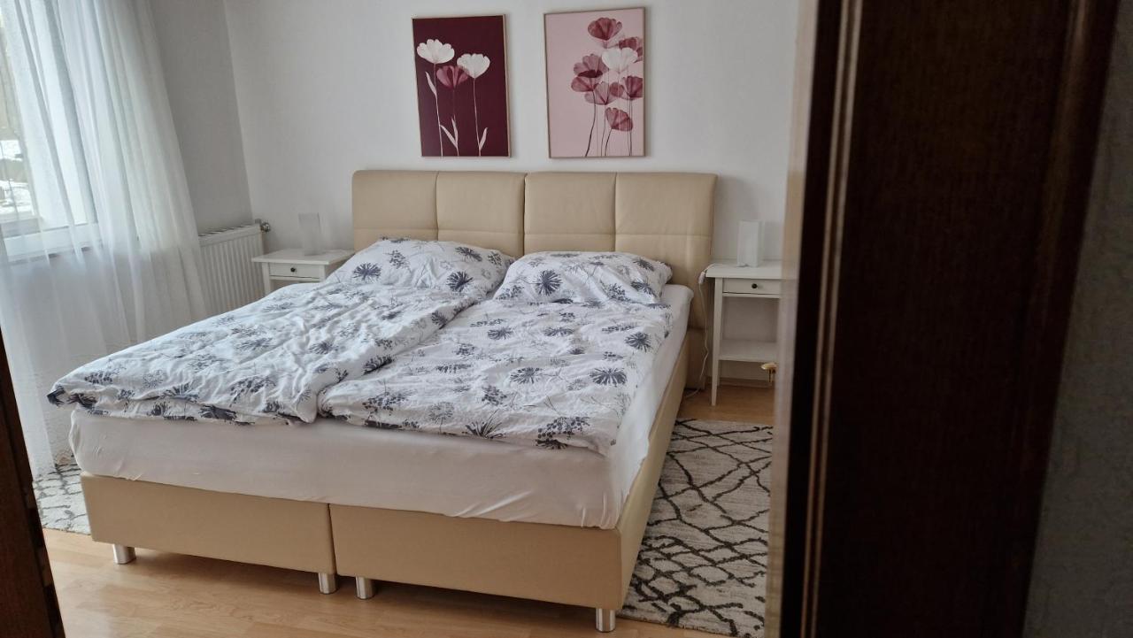 Ferienwohnung Edeltraud, Fusslaeufig Zum See Und 20 Minuten Vom Skigebiet Entfernt دوبرياخ المظهر الخارجي الصورة
